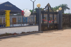 trashed-1770743104-20260111_133501